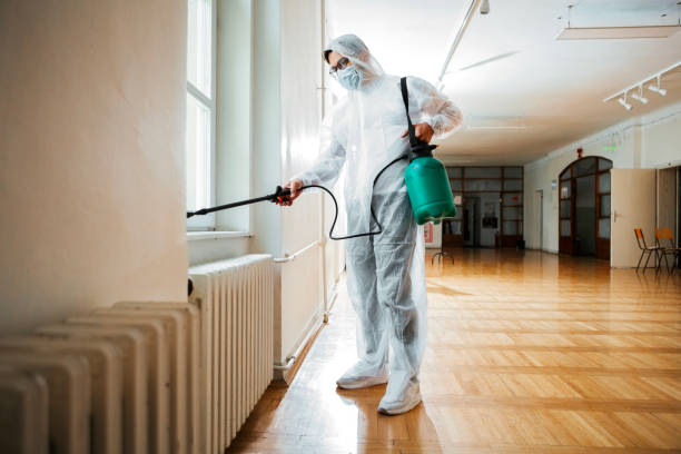 Best Pest Removal Services  in Avondale, LA